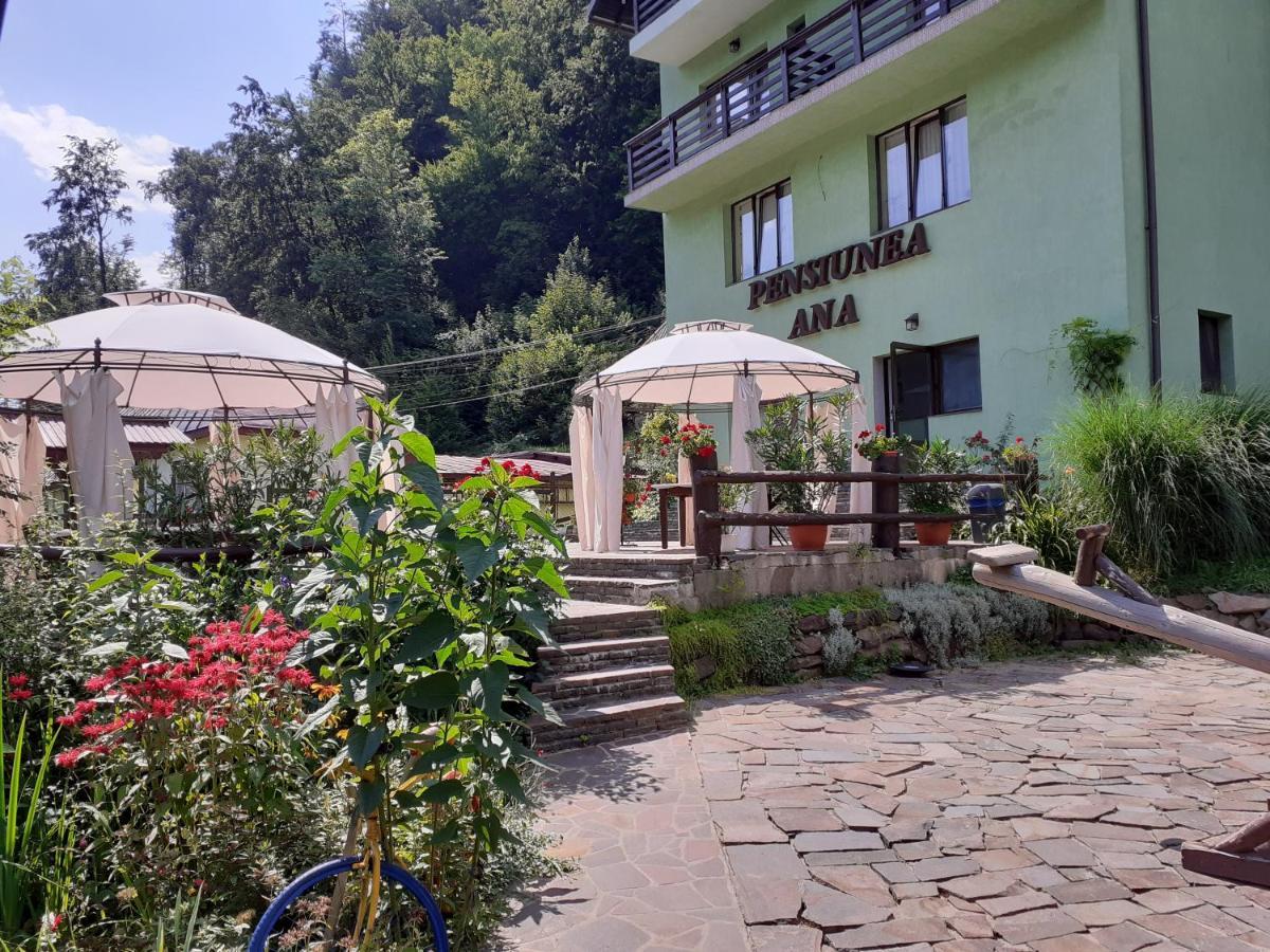 Pensiunea Ana Cavnic Exterior photo