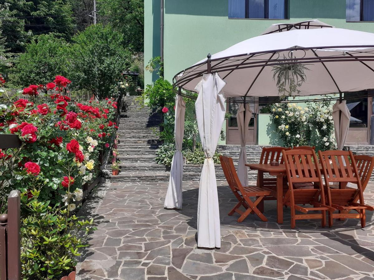 Pensiunea Ana Cavnic Exterior photo