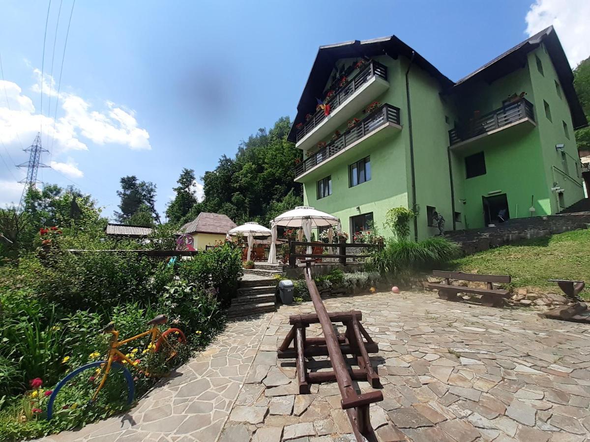 Pensiunea Ana Cavnic Exterior photo