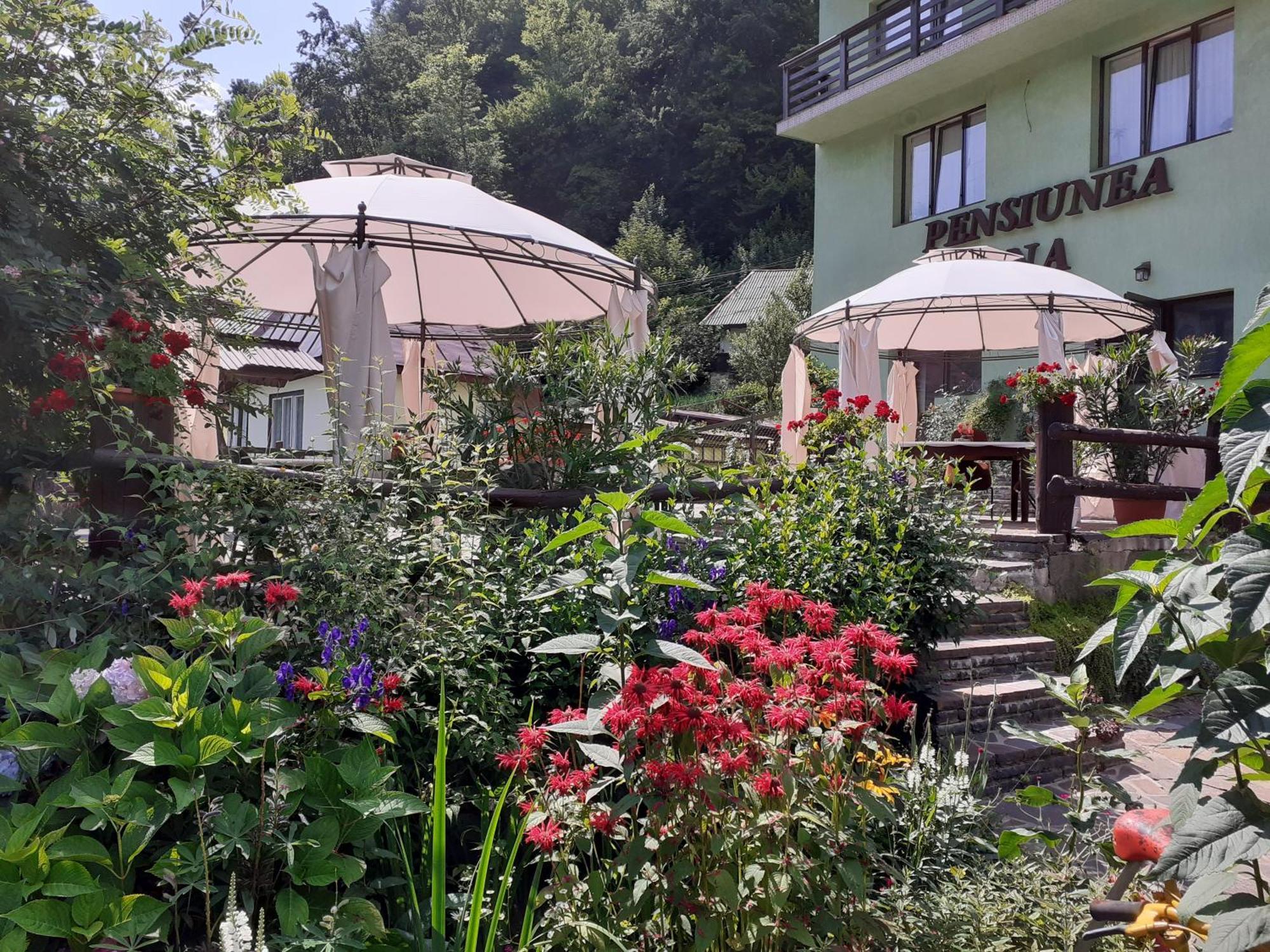 Pensiunea Ana Cavnic Exterior photo