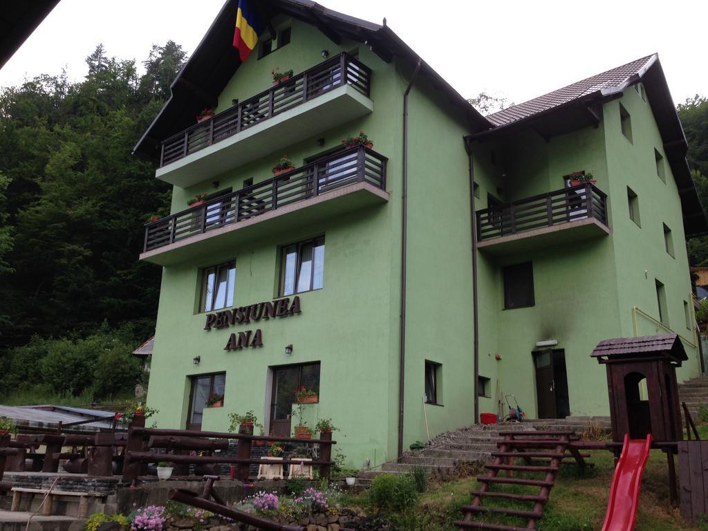 Pensiunea Ana Cavnic Exterior photo